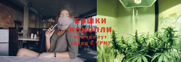 ПСИЛОЦИБИНОВЫЕ ГРИБЫ Абаза