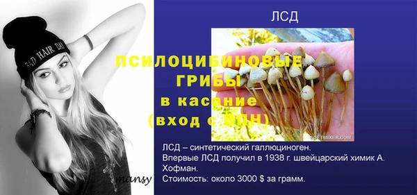 спайс Абинск