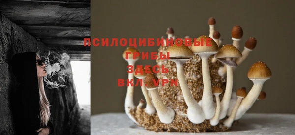 спайс Абинск