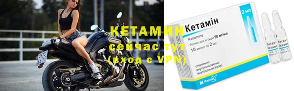 ПСИЛОЦИБИНОВЫЕ ГРИБЫ Абаза
