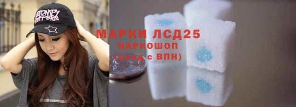 ПСИЛОЦИБИНОВЫЕ ГРИБЫ Абаза