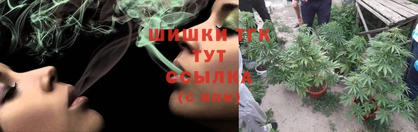 ПСИЛОЦИБИНОВЫЕ ГРИБЫ Абаза