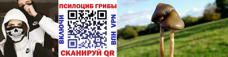 Псилоцибиновые грибы MAGIC MUSHROOMS  Железногорск-Илимский 